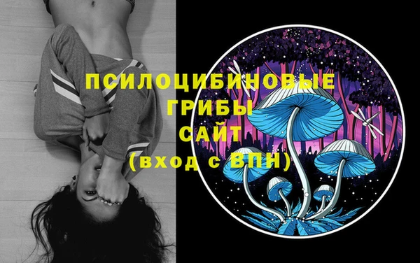 mdpv Баксан