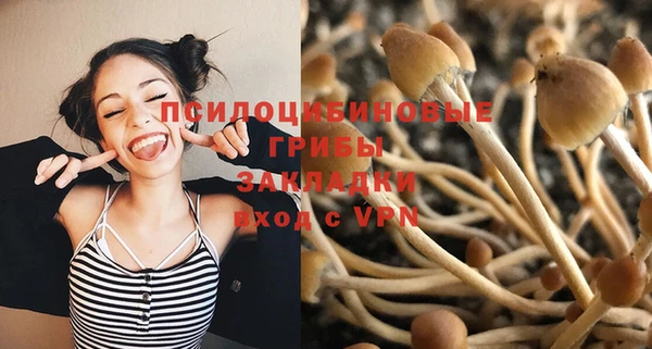mdpv Баксан