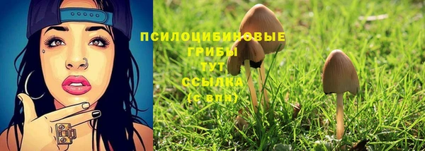 mdpv Баксан